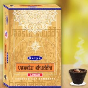 Satya Vaastu Shuddhi Cup Sambrani