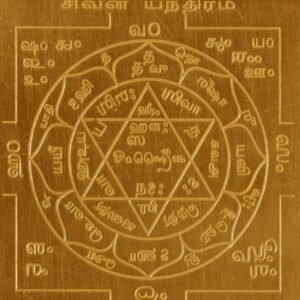 Shivan Enthiram (6*6)